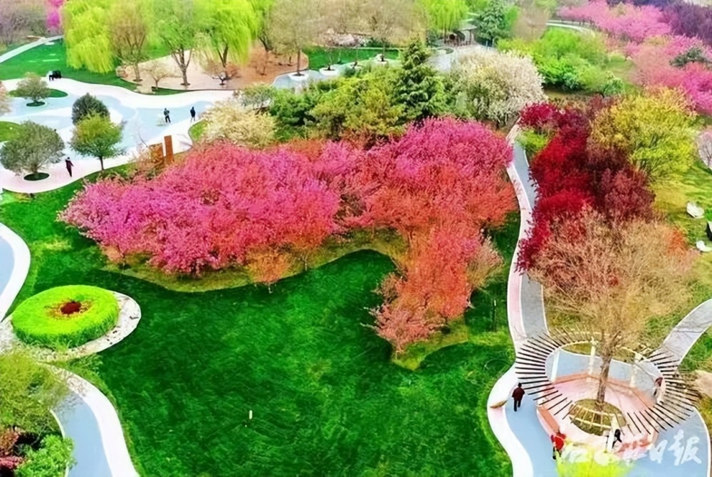 櫻花公園位於欒城區石欒大街與欒武路西北角,園內有藝術景牆,閒林逸架