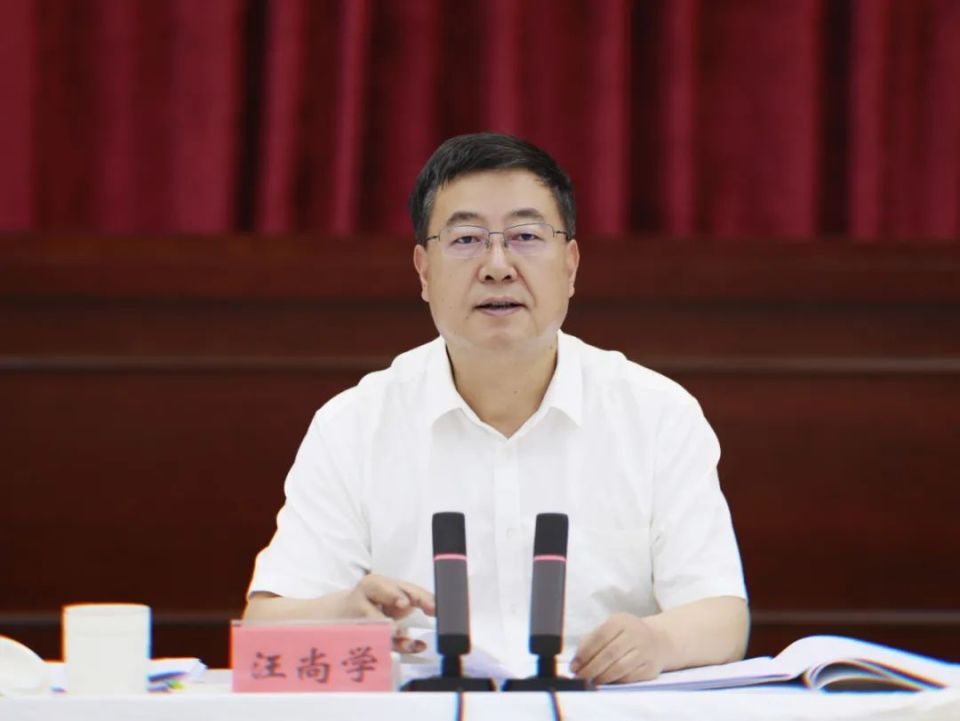 市委农村工作领导小组(市实施乡村振兴战略领导小组)会