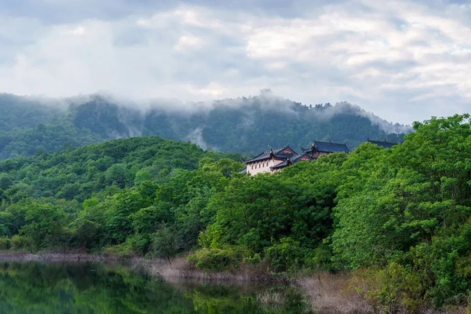 研究中心内环境优美,绿树成荫,也是放松身心的好去处如今,在鳄鱼湖这