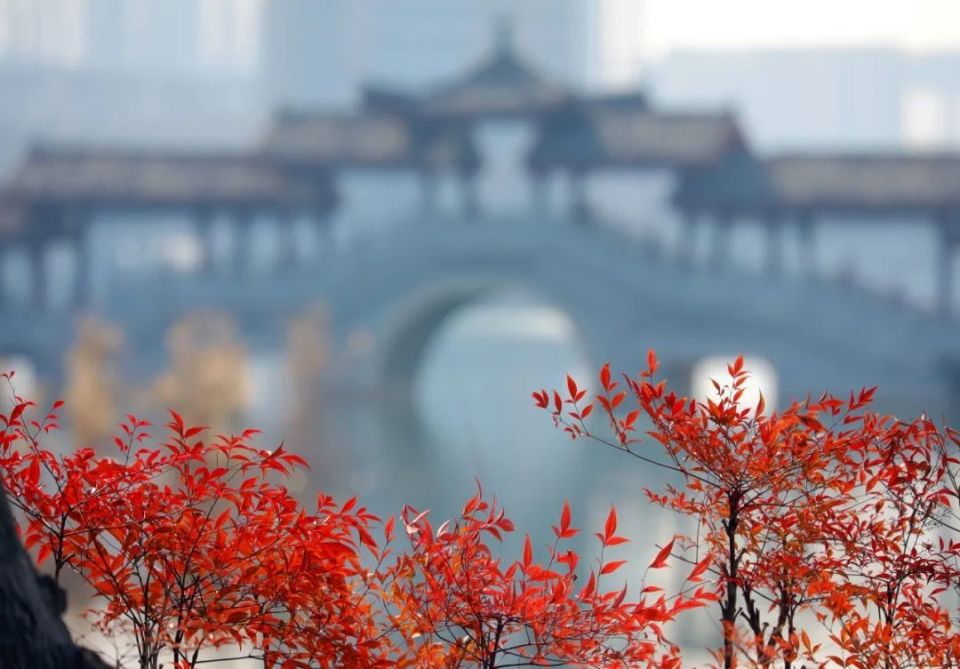 商丘市日月湖景区:邂逅冬日的缤纷