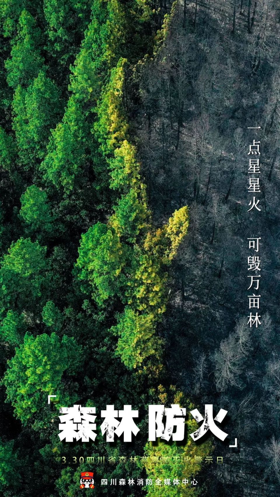 【全省森林草原防灭火警示日】严防森林火灾 共护绿水青山_腾讯新闻