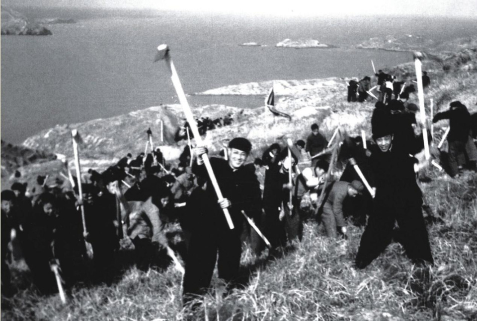 浙档精品|大陈岛红色档案:垦荒精神为何永远不老?