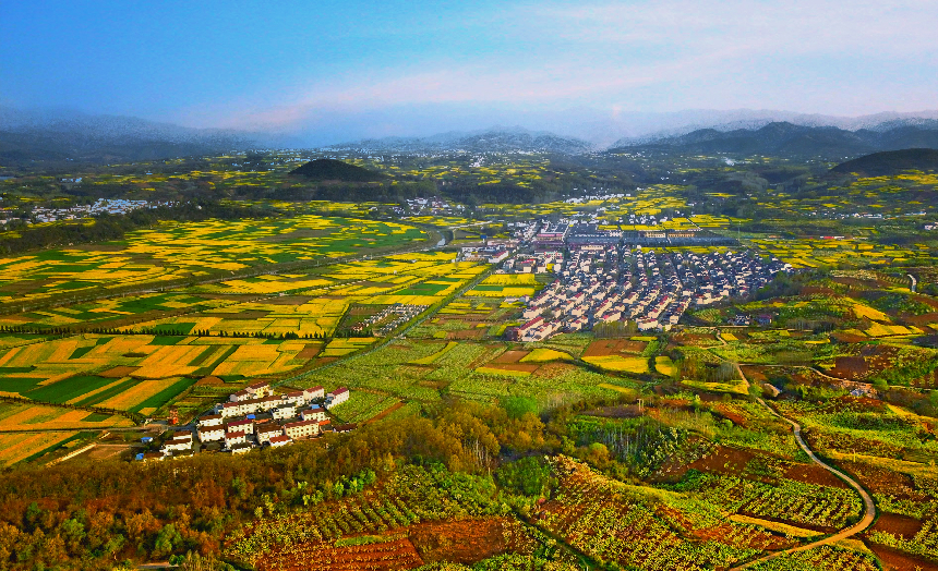 “三秦四季 汉中有约”|2024陕西最美油菜花海汉中旅游文化节3月15日启幕_腾讯新闻