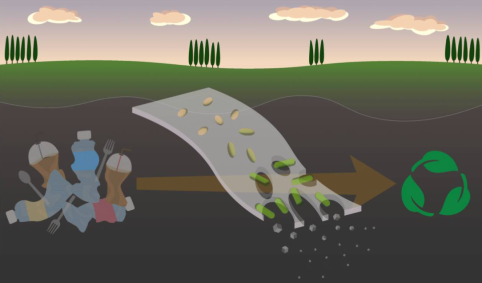 开发可生物降解聚氨酯的传统方法