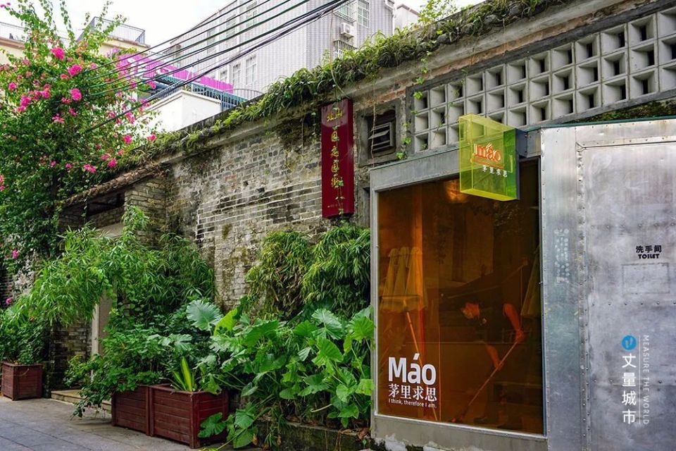 揭秘:ta为什么"出圈"?