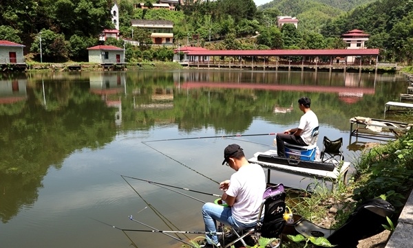今年,九观村盘活闲置资产,打造了集餐饮,民宿,垂钓,团建,休闲娱乐于
