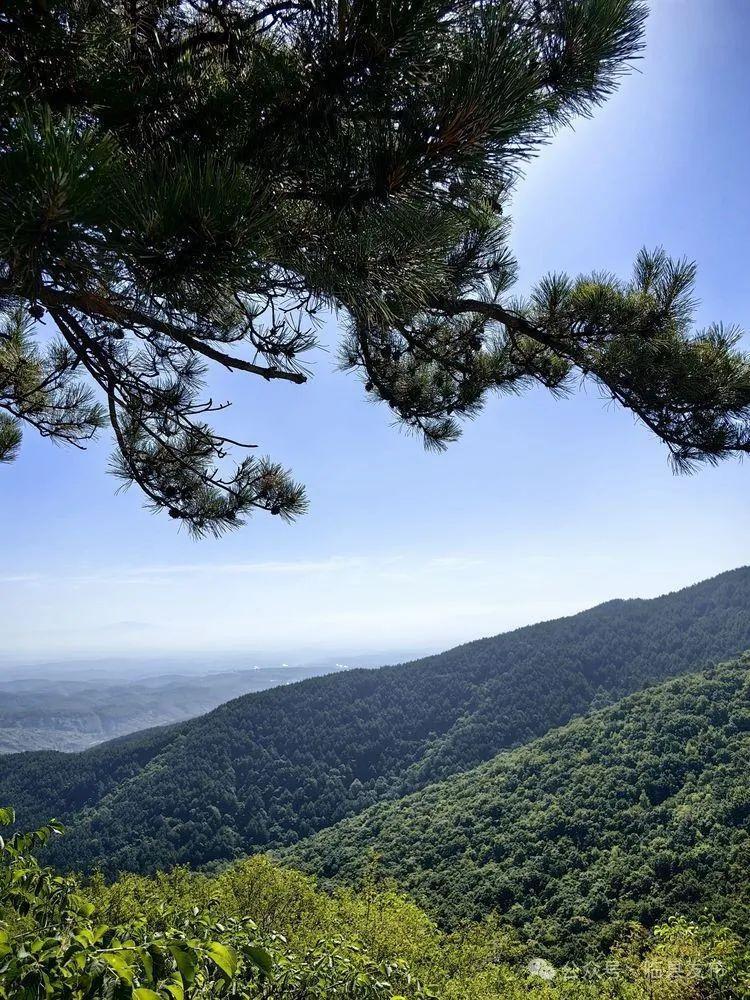 临县大渡山名胜古迹图片