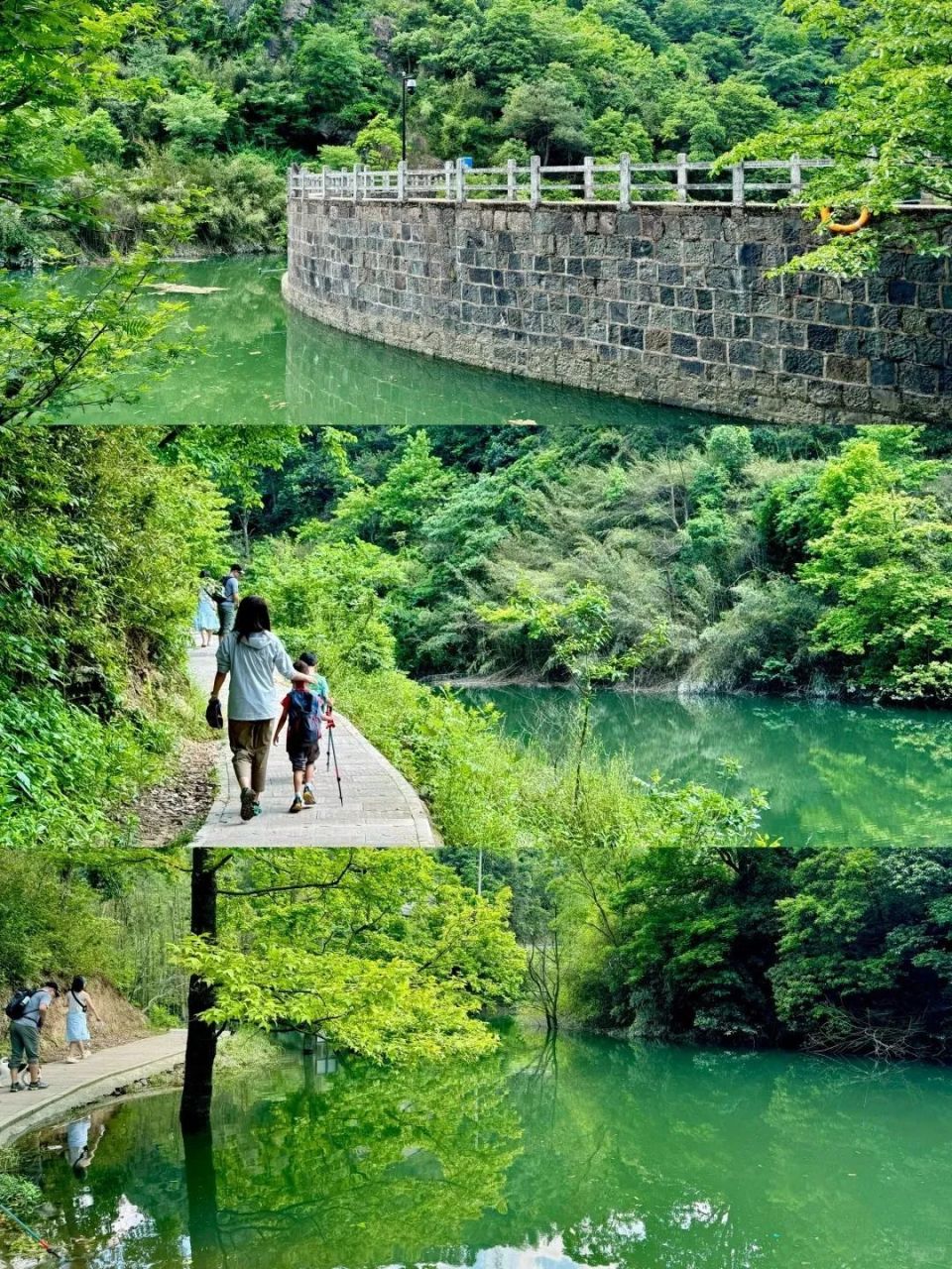 雪窦岭位于稽东镇竹田头村止步坑自然村,清幽宁静,空气清新.