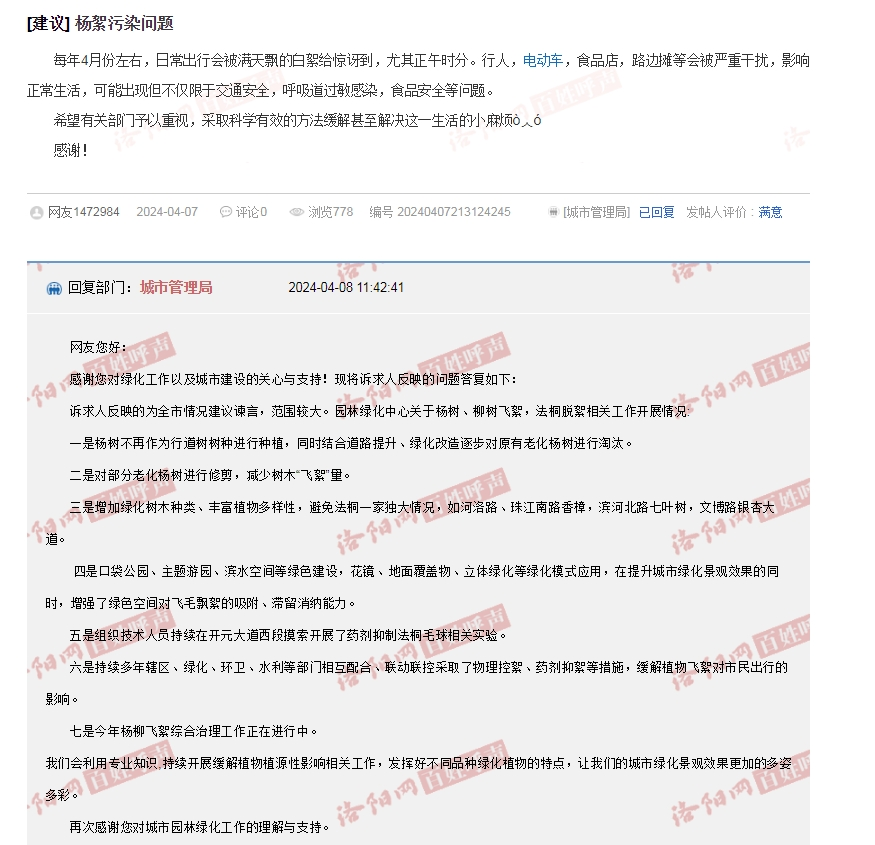 杨絮污染问题希望采取科学有效的方法有网友在洛阳网"百姓呼声"发帖