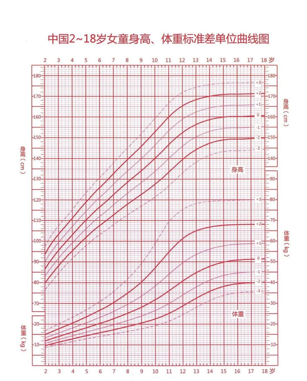 男孩女孩股骨长对照表图片