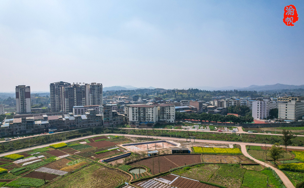 塘坝印象:潼南三大名镇之一,因塘多坝平得名,系重庆市级中心镇_腾讯