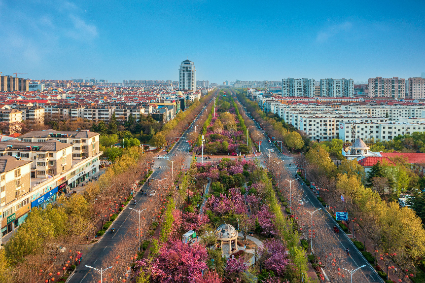 鹤壁鹤壁樱花大道图片