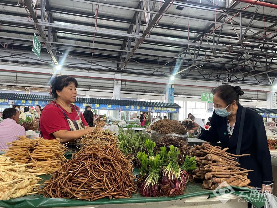 节庆云南丨普洱百草根节:食百草而得一夏安,一场百草根的狂欢