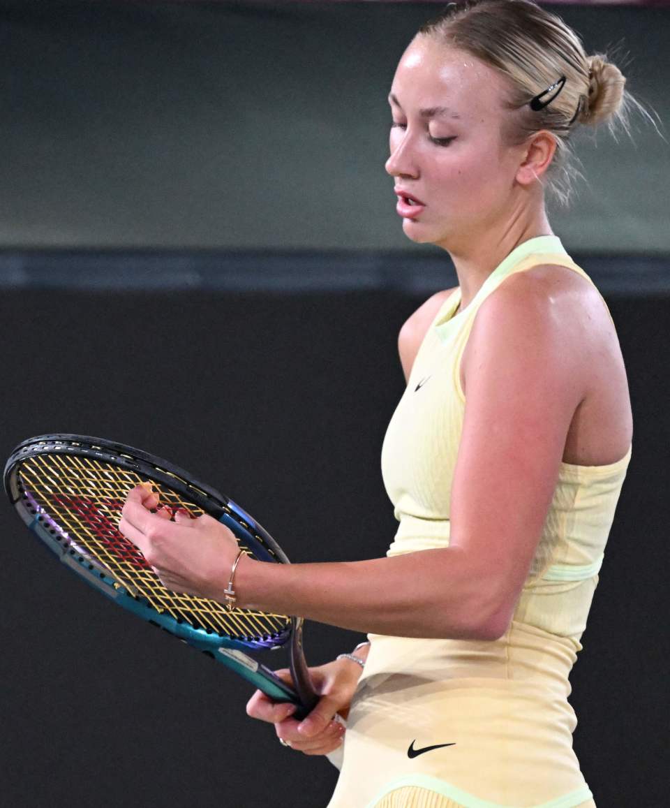 网球——林茨女子公开赛:波塔波娃晋级_腾讯新闻