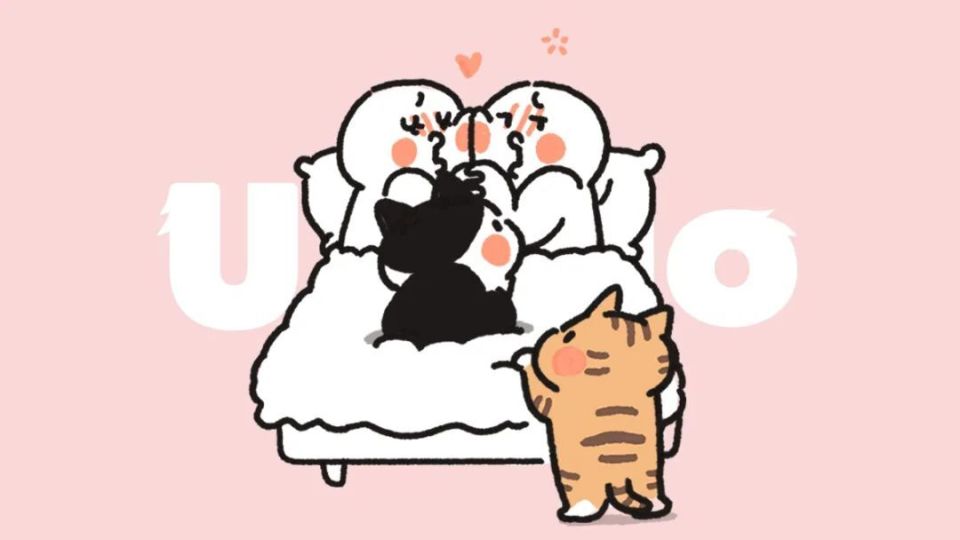 围观人类为爱鼓掌时小猫咪是怎么想的