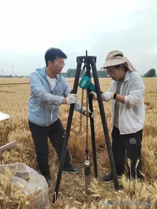 夏邑县会亭镇:土地吃上"营养套餐"
