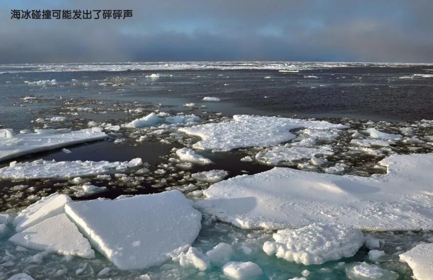 地球上未知而神秘的声音