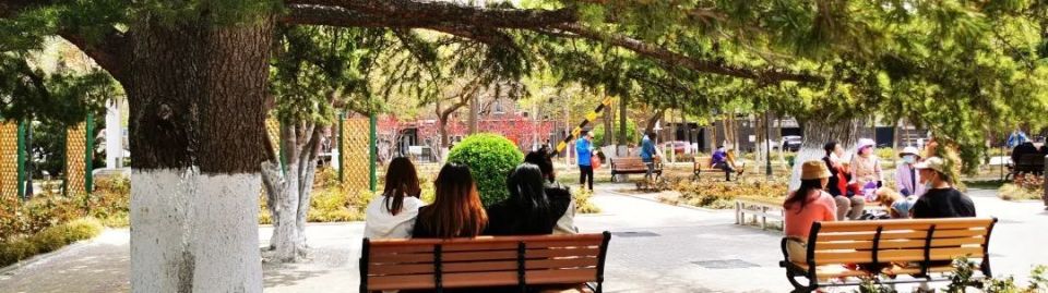 新早读三百多张星礼卡三年未用被扣费三千多