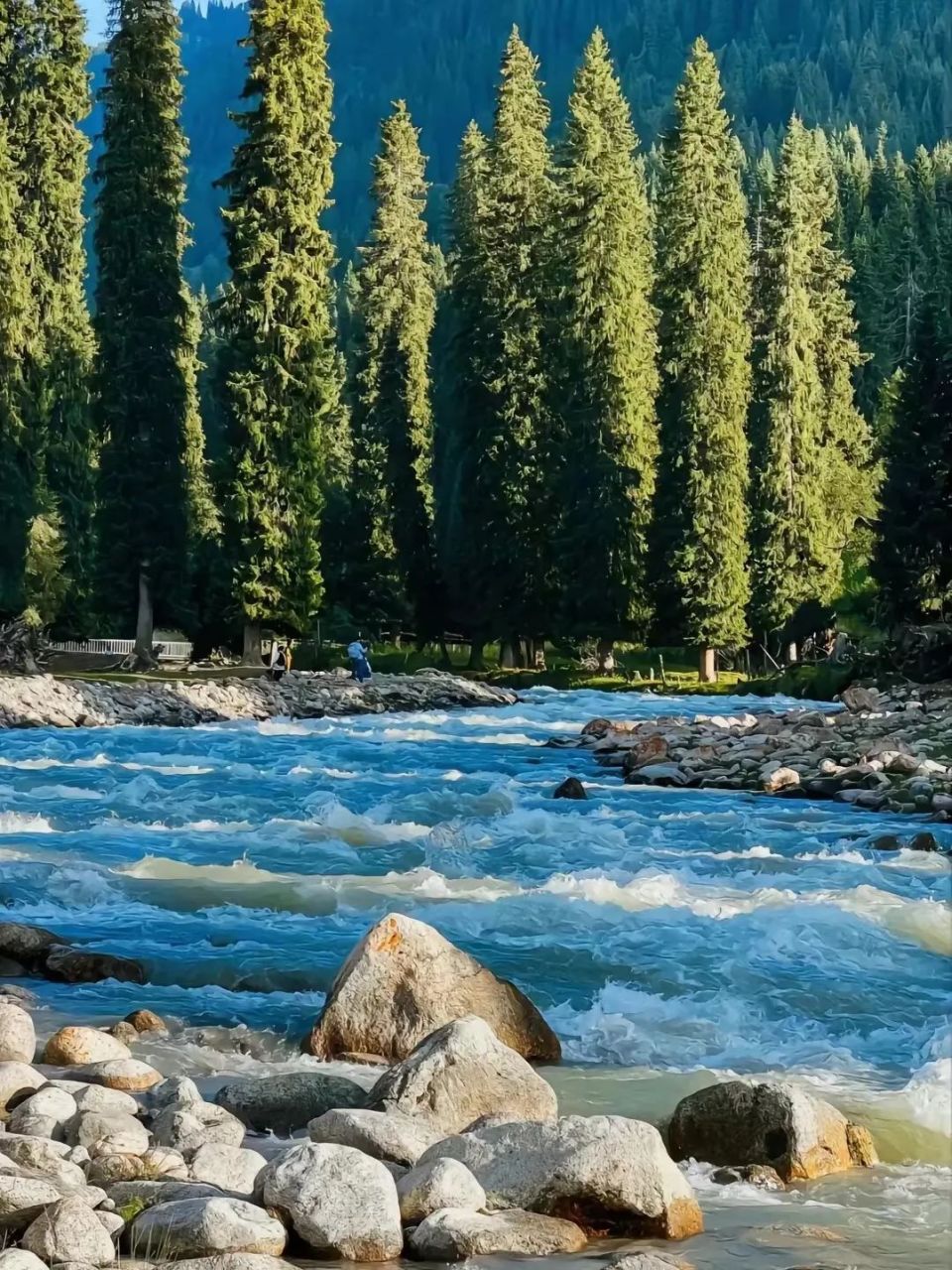 图来自网络可可托海不是海,景区位于新疆北部阿勒泰地区富蕴县,集