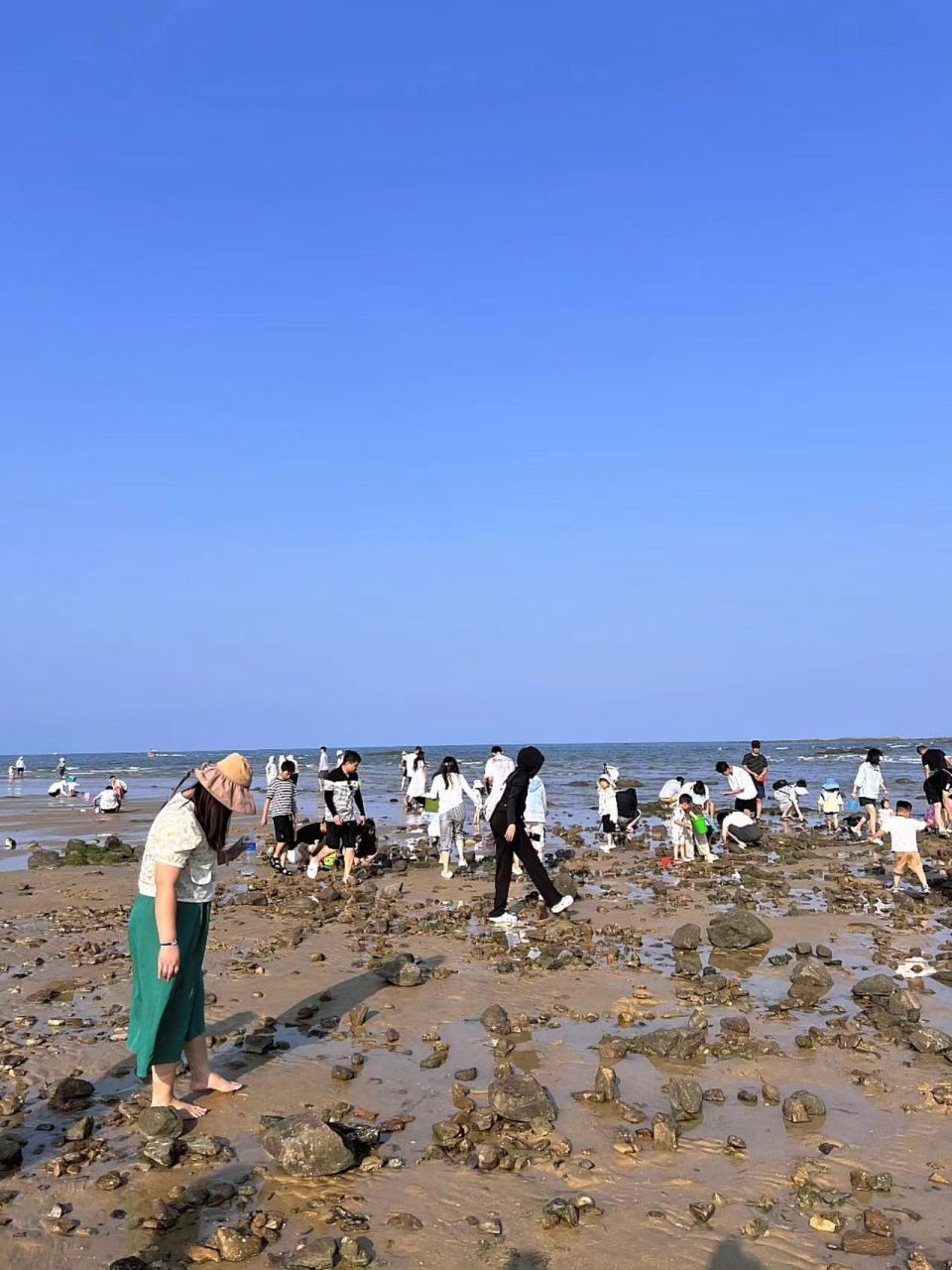 日照岚山多岛海赶海图片