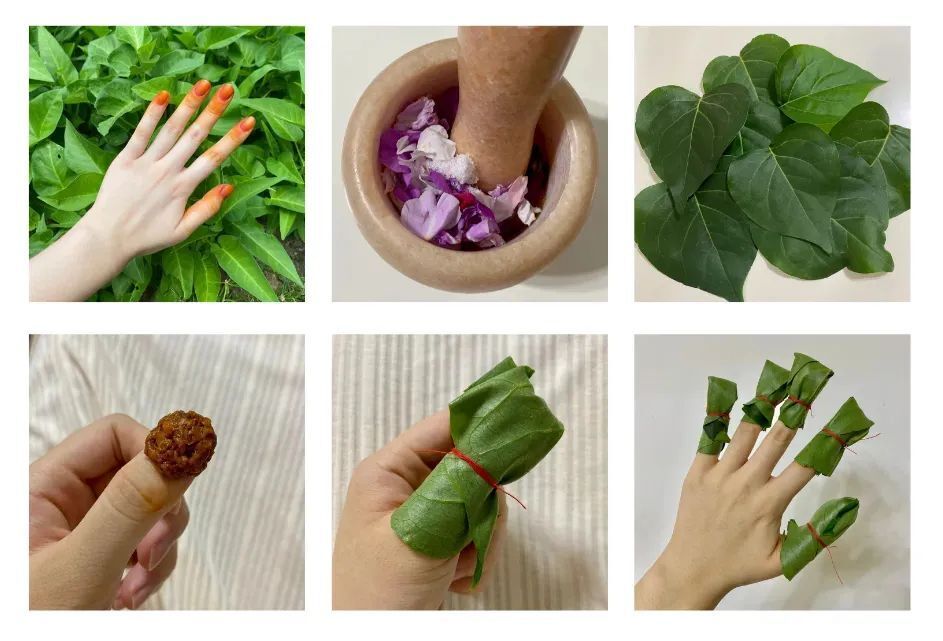 七夕用鲜花染指甲?说的就是这种花——_腾讯新闻