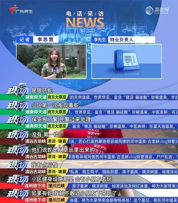 番禺街上惊现两条剧毒"银环蛇",上晒dv现场!