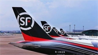 顺丰不惧挑战多举措解决快递慢难题