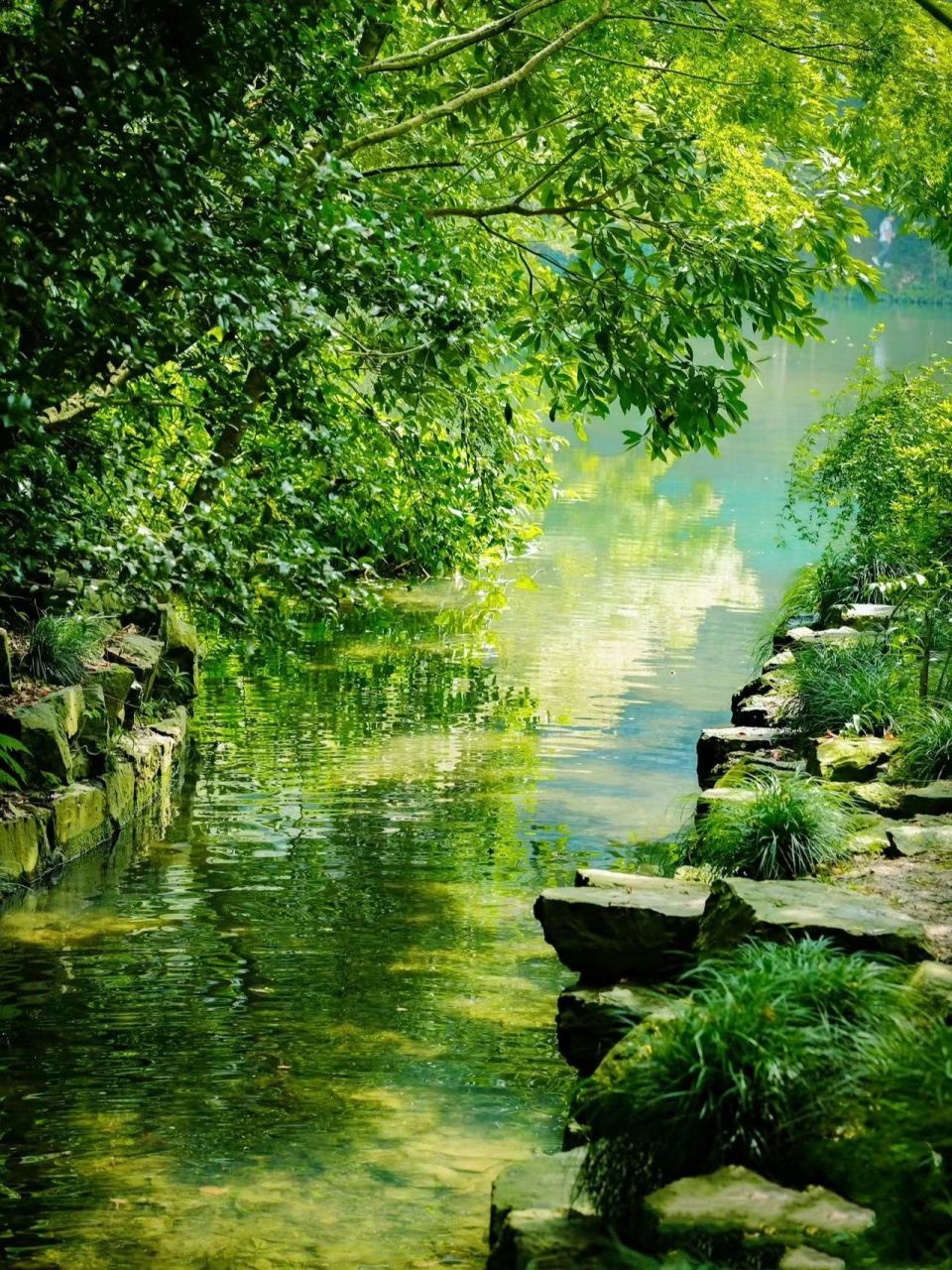 走进这几处初夏秘境,彷佛踏入与世隔绝的世外桃源,舒服到根本不想走