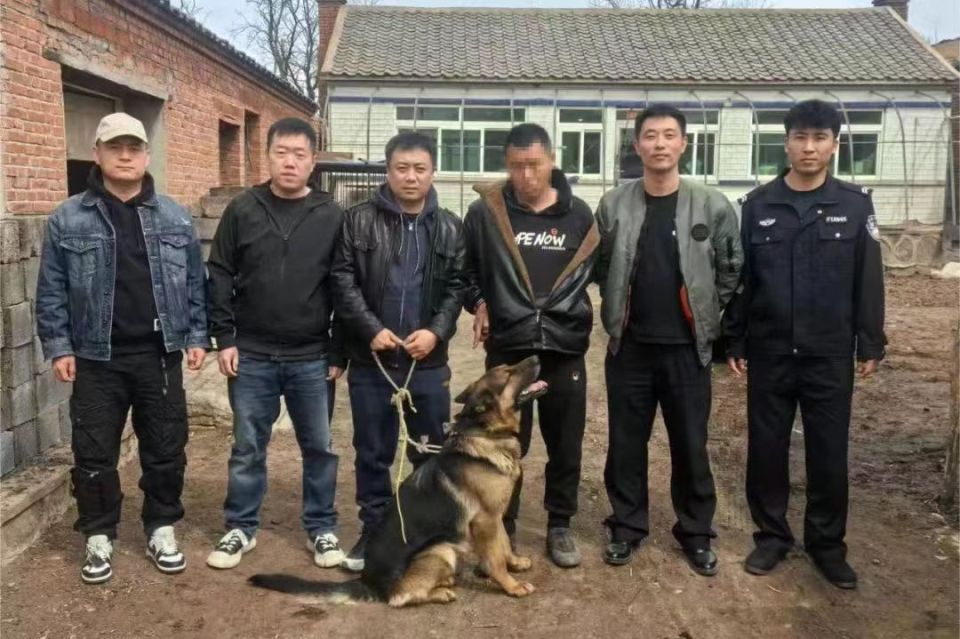 喜讯"老虎"终于找到了浑南分局刑警大队专案一队侦查员秦兵兵介绍:"第