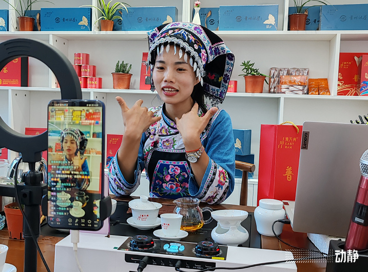 新时代的贵州人丨冉家四姐妹：茶山上绽放芳华的四朵“金花”_腾讯新闻