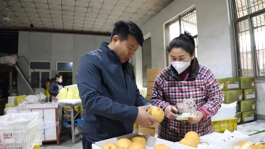 扎根乡村,冠县青年抢"鲜"蹚开水果"外贸"路