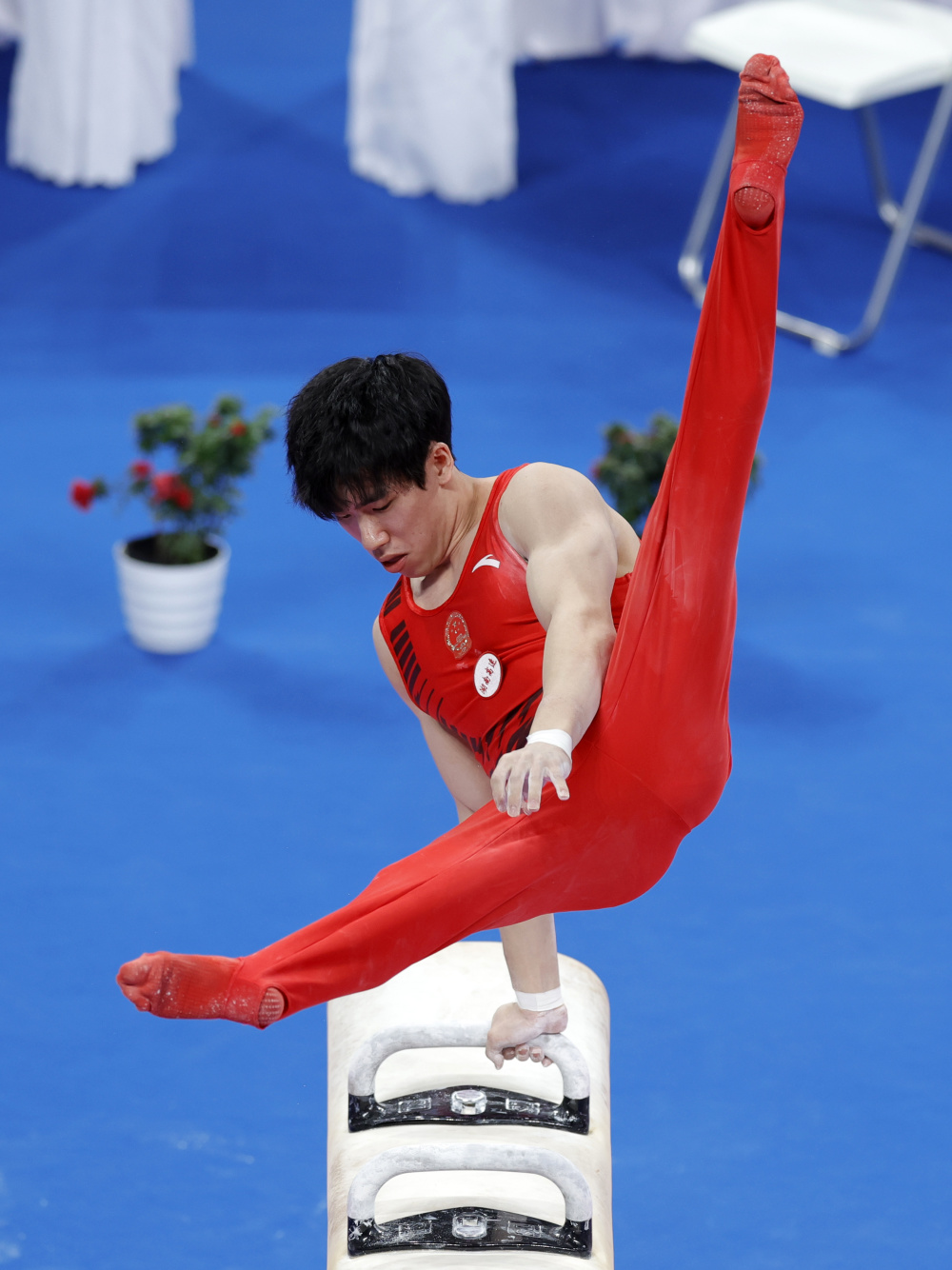 体育体操全国冠军赛鞍马决赛赛况