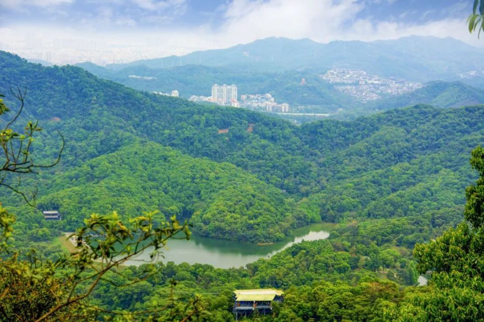 广州白云山,拟有新变化!