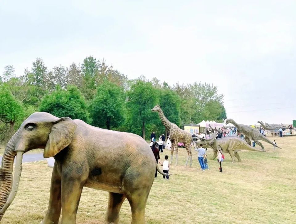 1元(原价39)浙东·梦幻南山景区包含森林动物乐园,丛林穿越,彩虹滑道