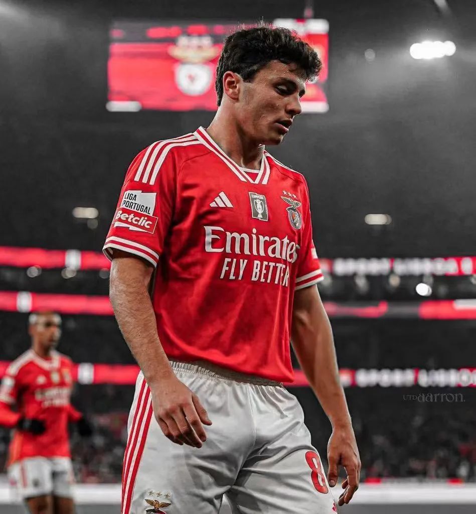 11】欧罗巴:本菲卡vs马赛 前瞻!_腾讯新闻