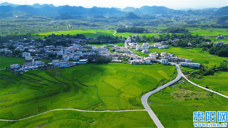 贵阳高坡乡美景引客来