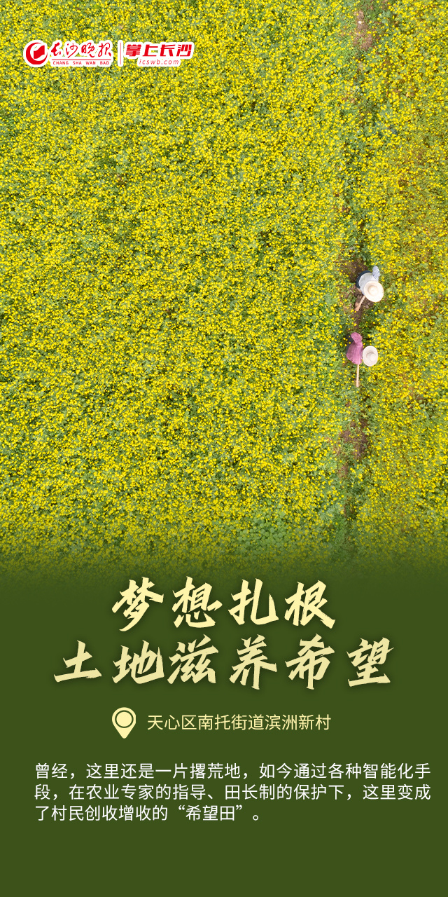 海报丨这些奇迹，让我们相信土地的力量-腾讯新闻