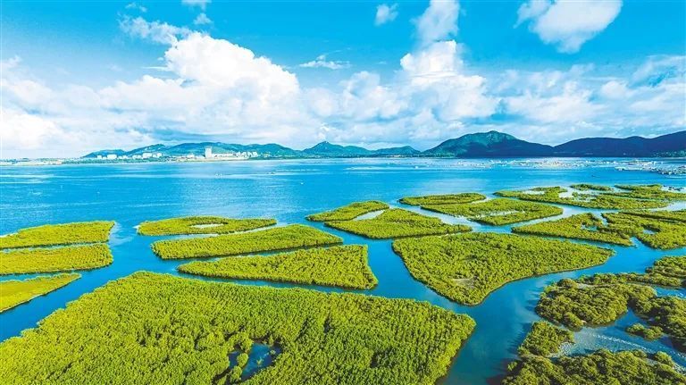 均居全国前列!海南这张"成绩单"很亮眼