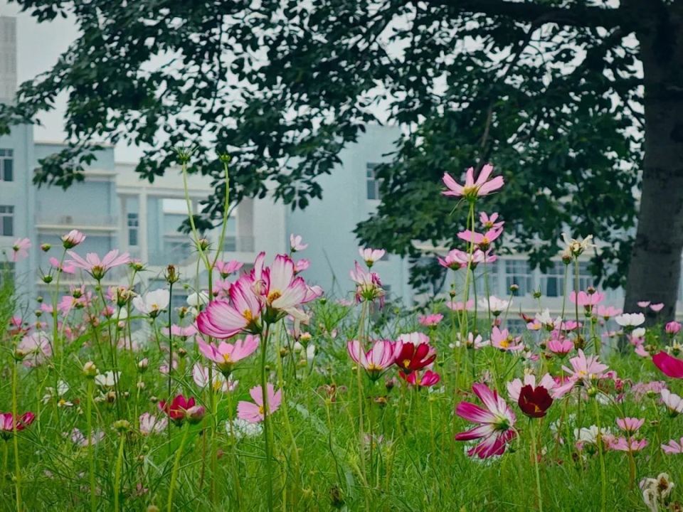 炎炎夏日,崇左的"清凉",你知道在哪吗?