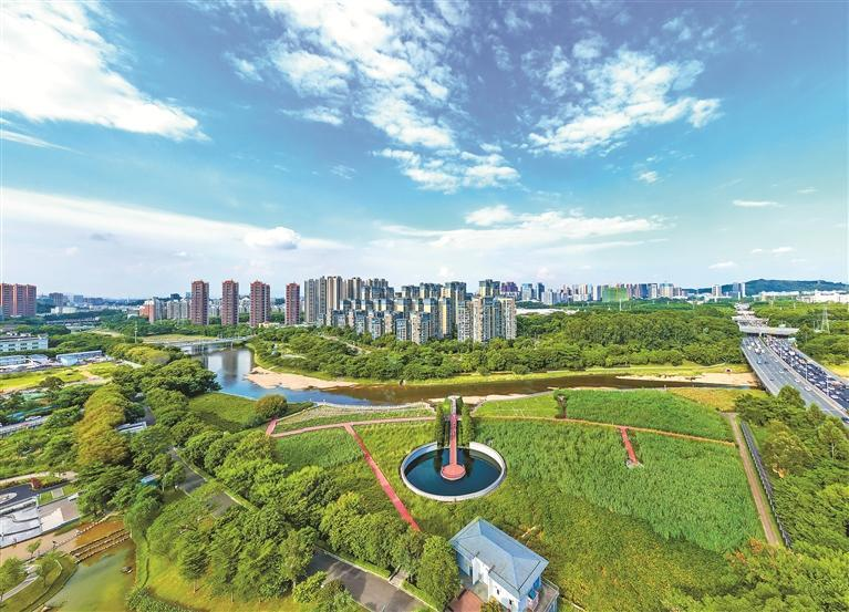 街边花草也疯狂,深圳绿化震撼我一整年!