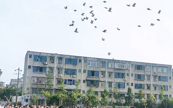 尊师重道明礼求学成都洛带中学举行第39个教师节庆祝活动