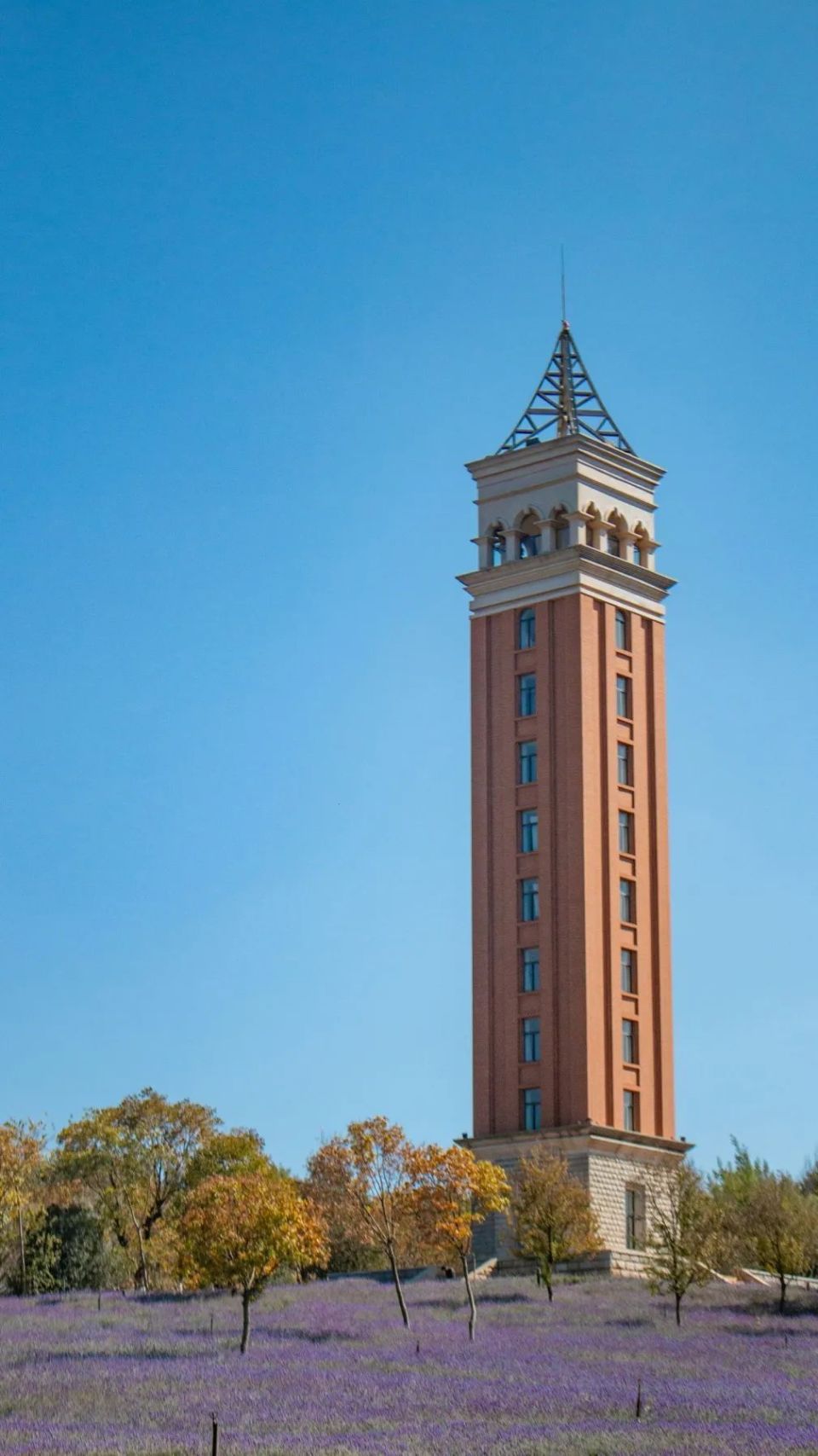 今天,走进云南大学101个瞬间!