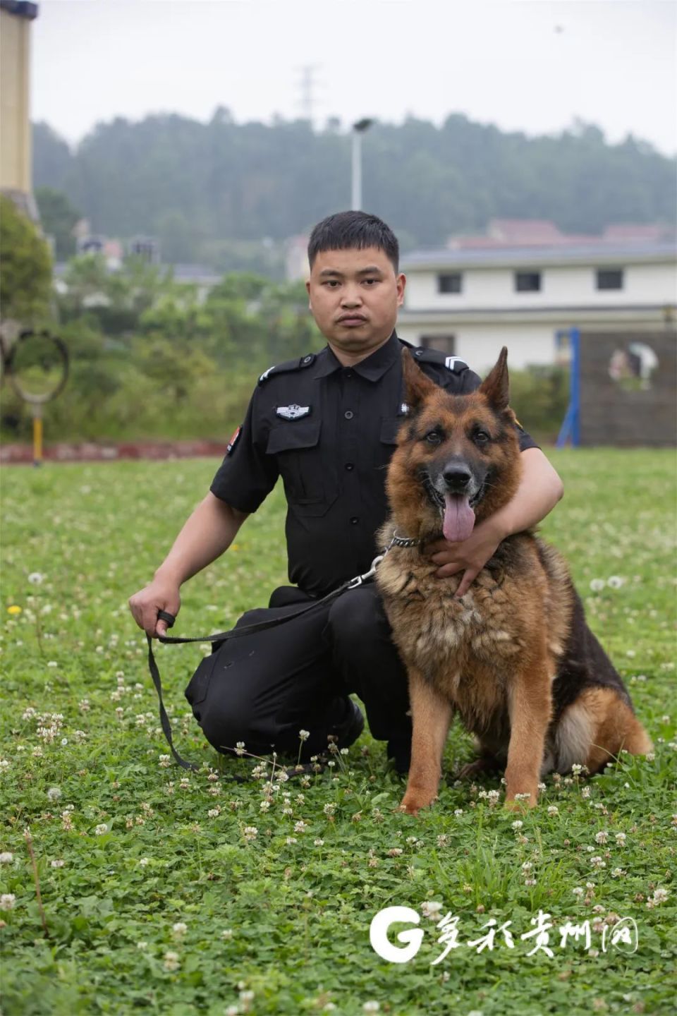 征集领养人!观山湖公安首批退役警犬开放领养