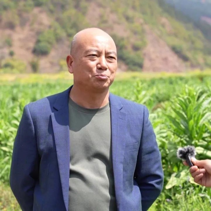 漾濞:"四荤四素"呈上"产业大餐"_腾讯新闻