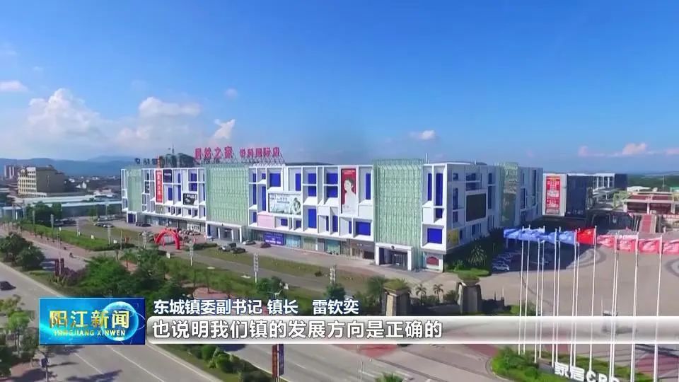 聚焦高质量发展 | 阳东东城镇:"三大板块"打造经济高质量发展新引擎