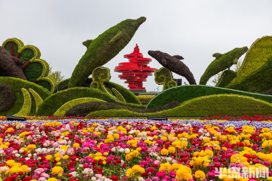 鲜花扮靓五四广场