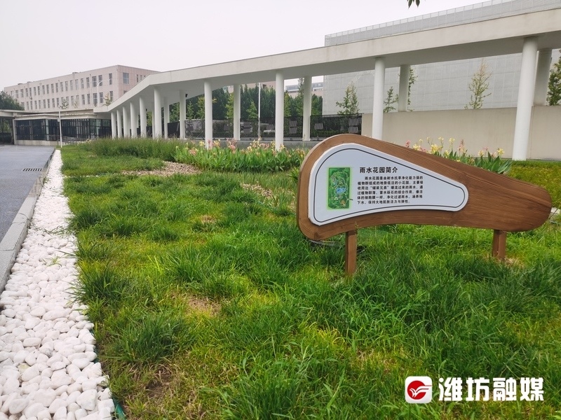 让城市会呼吸潍坊国家首批海绵示范城市建设打响收官之战