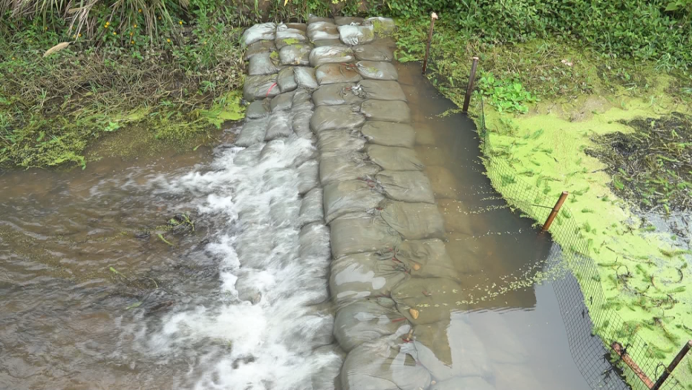 【生态环境综合整治】连城文亨:多措并举开展生态环境整治_腾讯新闻