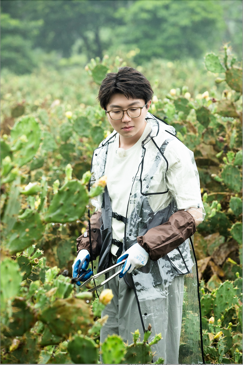 尝试采摘的毛不易,扎手但好玩,刺激感满满郭麒麟坐在沙发上沉思,面对