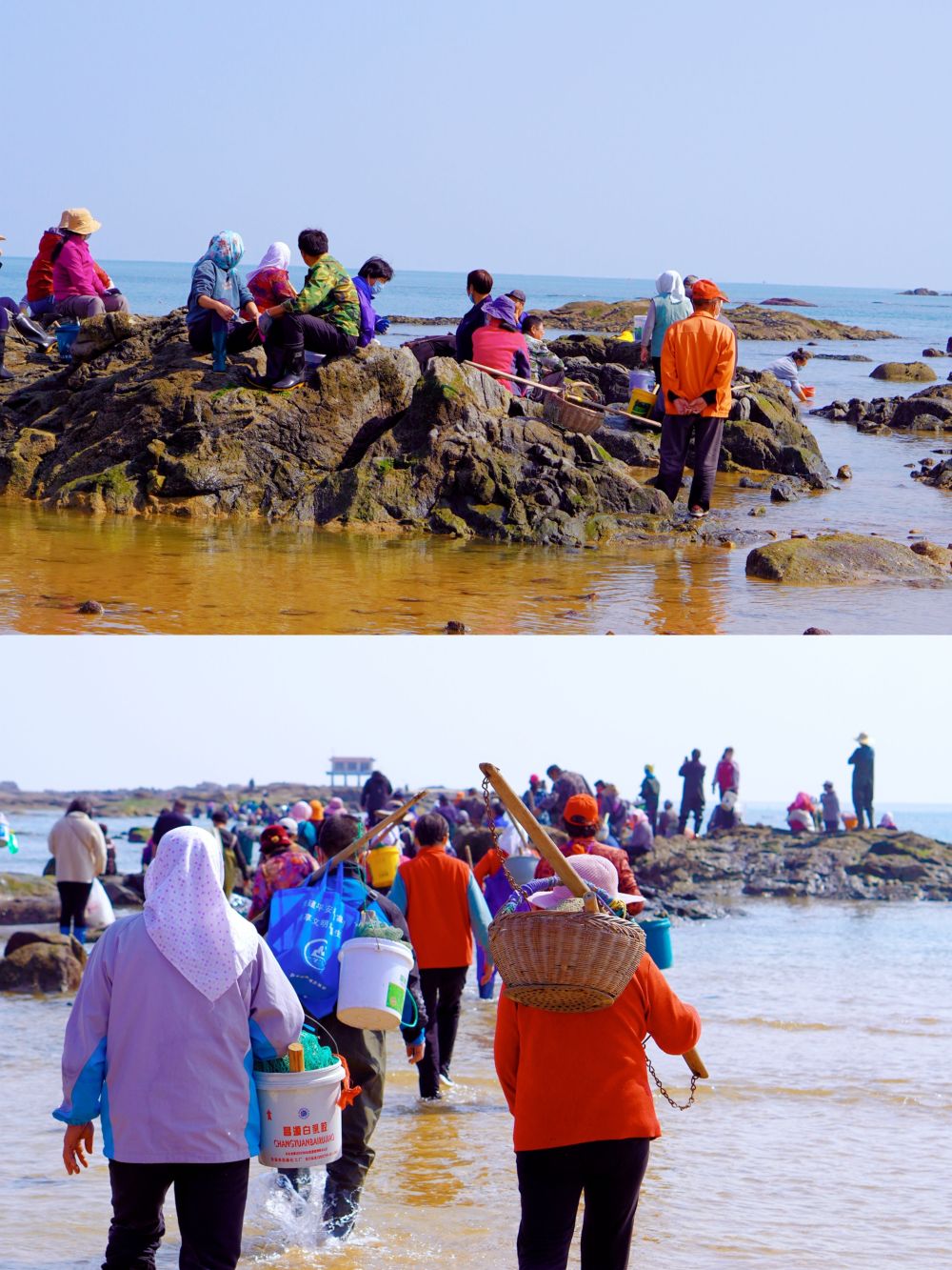 日照多岛海赶海园图片